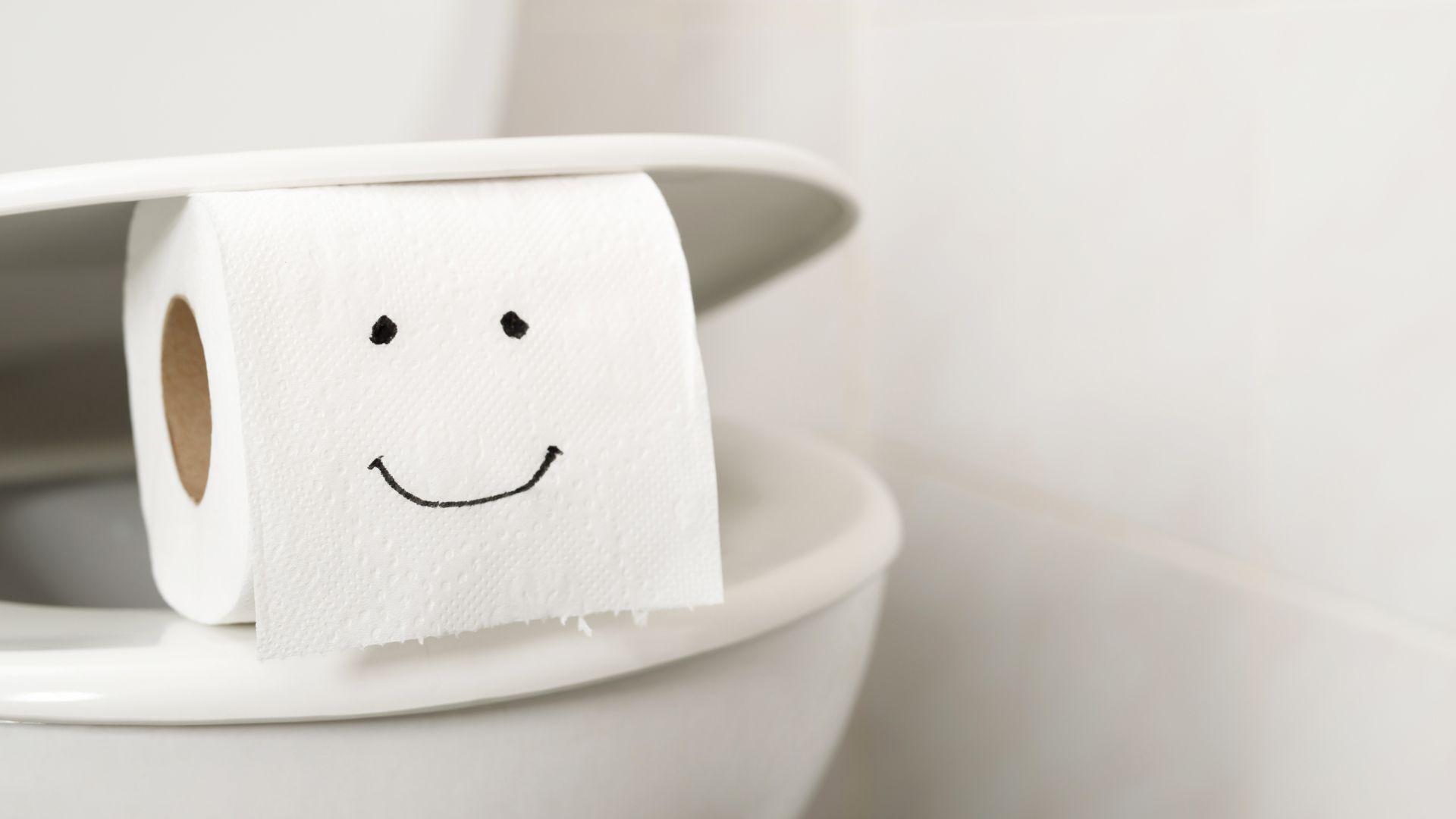 The Top Seven Things Kids Flush Down the Toilet Raider Rooter